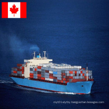 Professional Freight Forwarder Shipping Chine To Canada Door To Door